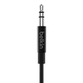 Belkin 3.5mm Audio Cable with USB-C Connector - PhoneBuzz